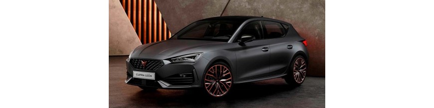 Soportes y manometros para Cupra Leon